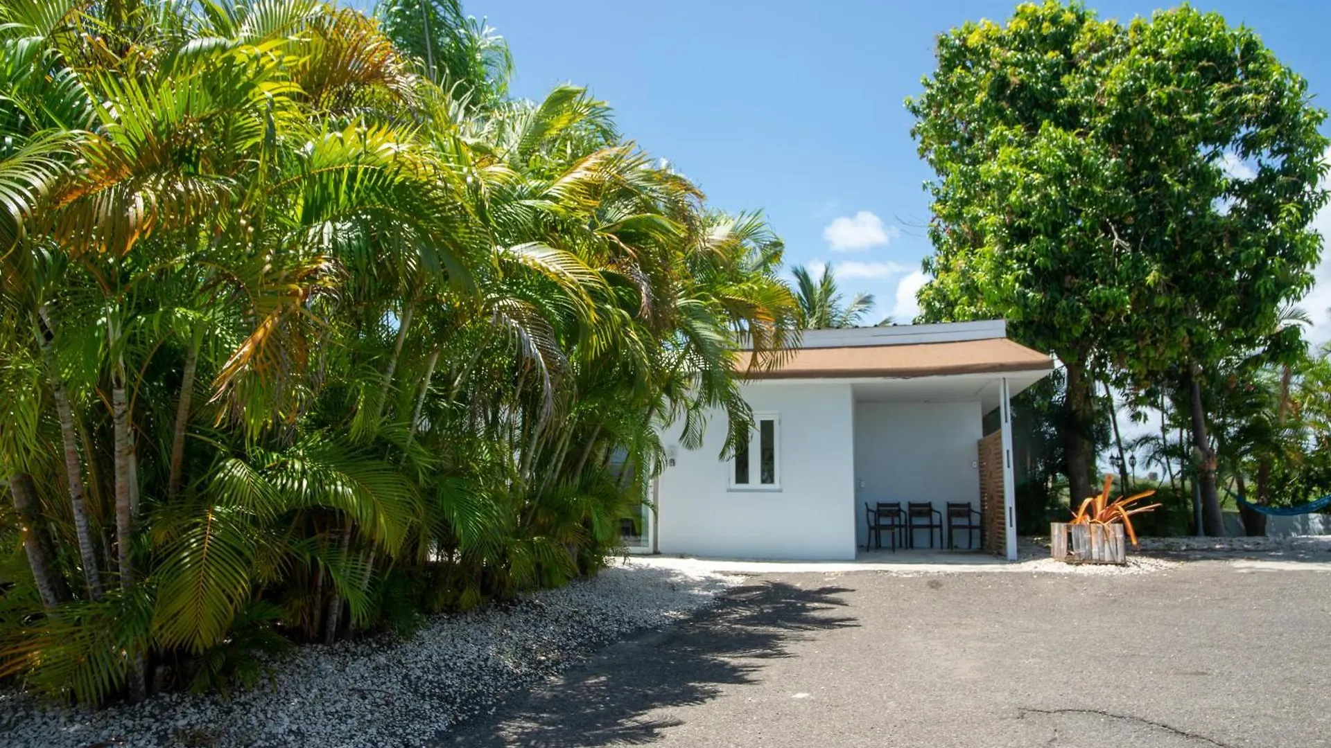 Casa Loba Suite 4 With Private Pool Rincon Apartment