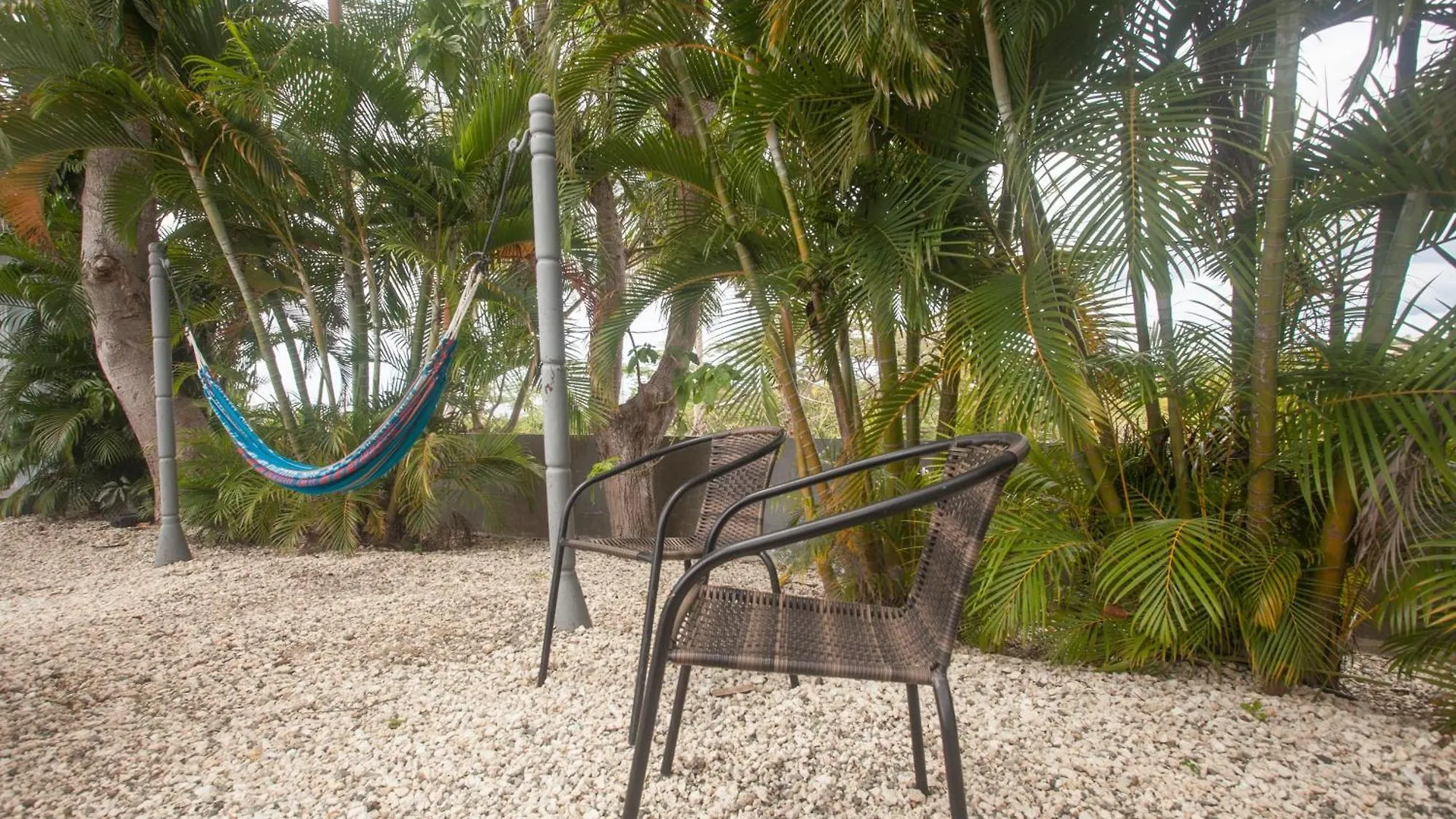 Casa Loba Suite 4 With Private Pool Rincon Puerto Rico